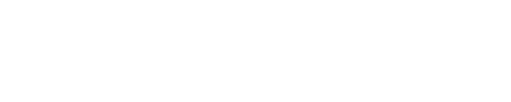 AppaSafety logo